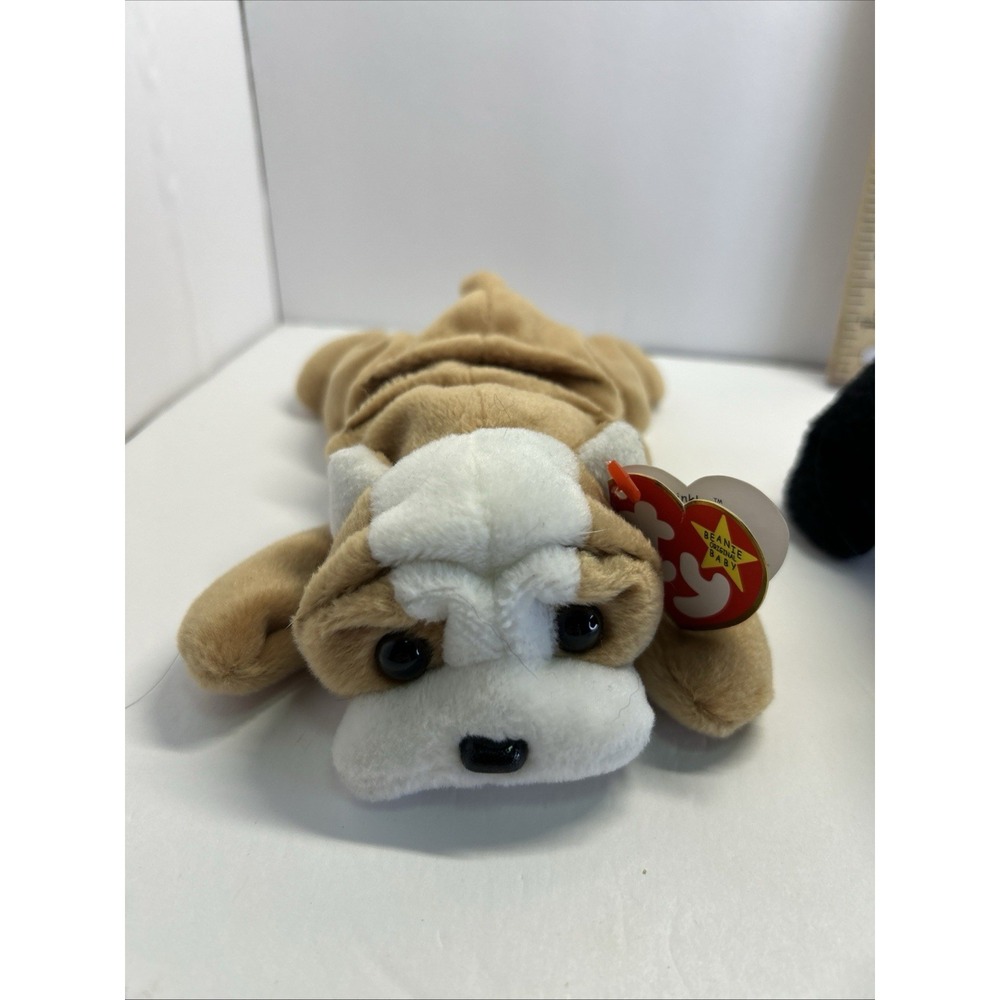 Ty Beanie Baby WRINKLES the Bull Dog (8 Inch) NEW MWMTs Plush Stuffed Animal Toy